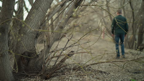 a close-up view of budding tree branches in a forest, with a blurred view of someone walking in the background