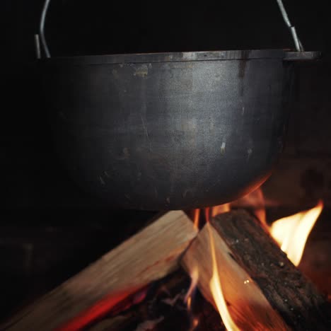 a pot hangs in the wood-burning stove the cook puts the log in the fire