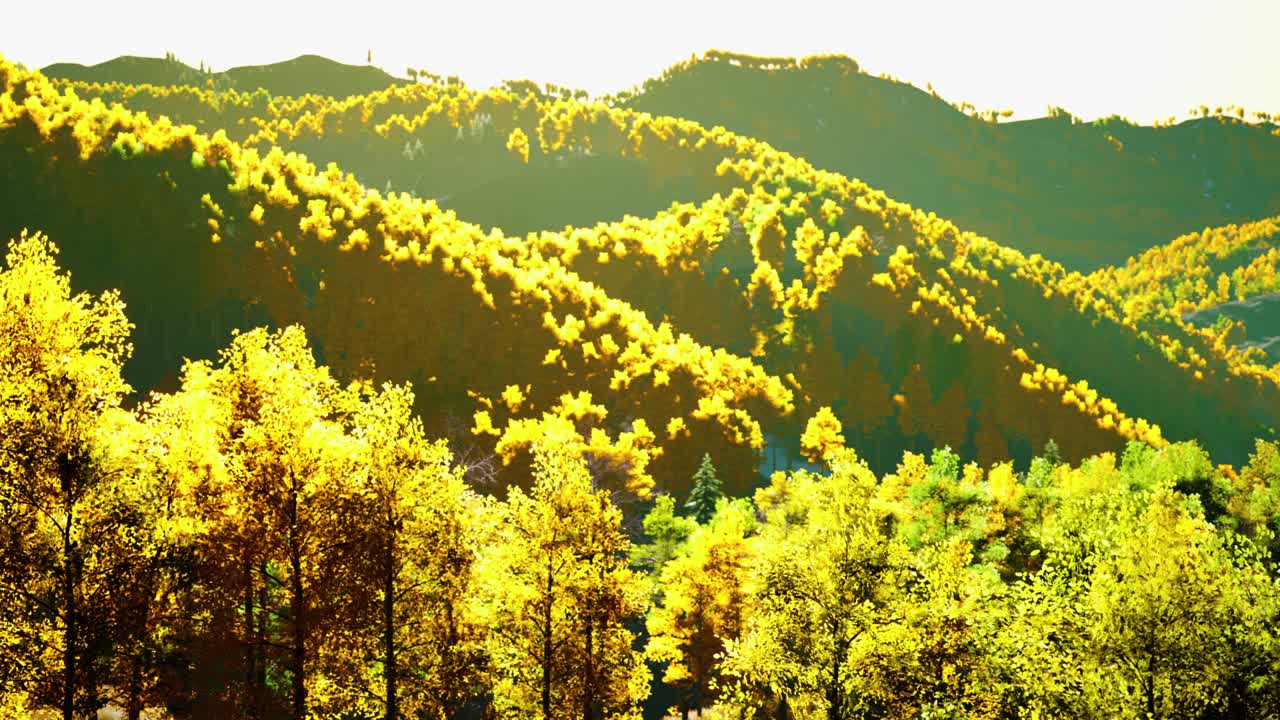 ⁇ 은 오렌지색과 황금색 잎사귀와 함께 가을 시즌에 다채로운 산맥