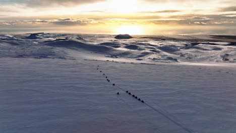 aerial panoramic landscape view of people riding snowmobiles on myrdalsjokull glacier in iceland, during an epic sunset