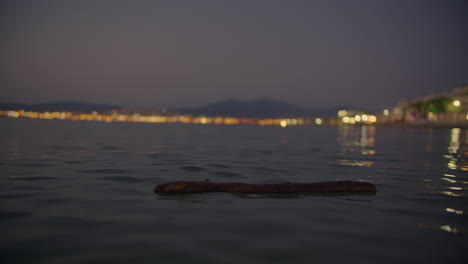 a stick floating in the water with a city skyline in the background at night