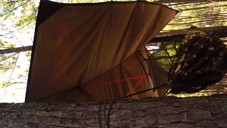 vertical clip revealing military style hammock hung between trees with a tarpaulin as roof