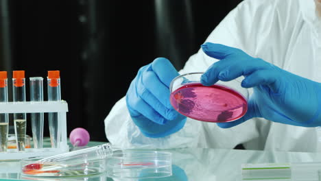 Man-doing-a-microbiological-examination-of-samples-in-a-laboratory-with-a-petri-dish-1