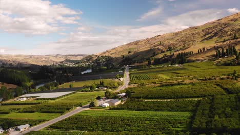 acres of green fruit orchards