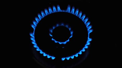 blue flame of gas stove on black background. gas switching on.