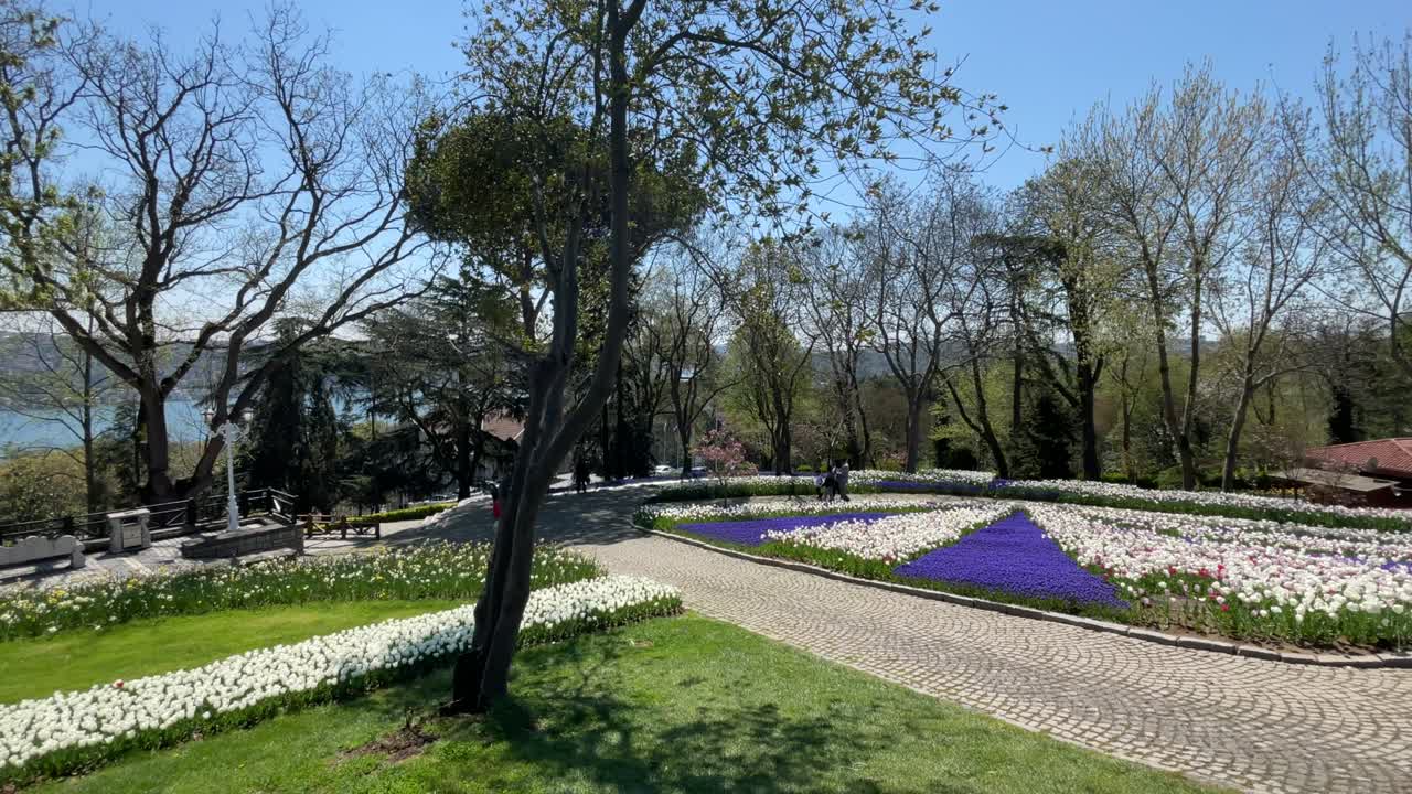 이스탄불 립 축제