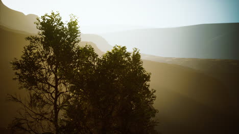 beautiful-rocks-with-few-trees-at-the-daylight-in-Nepal