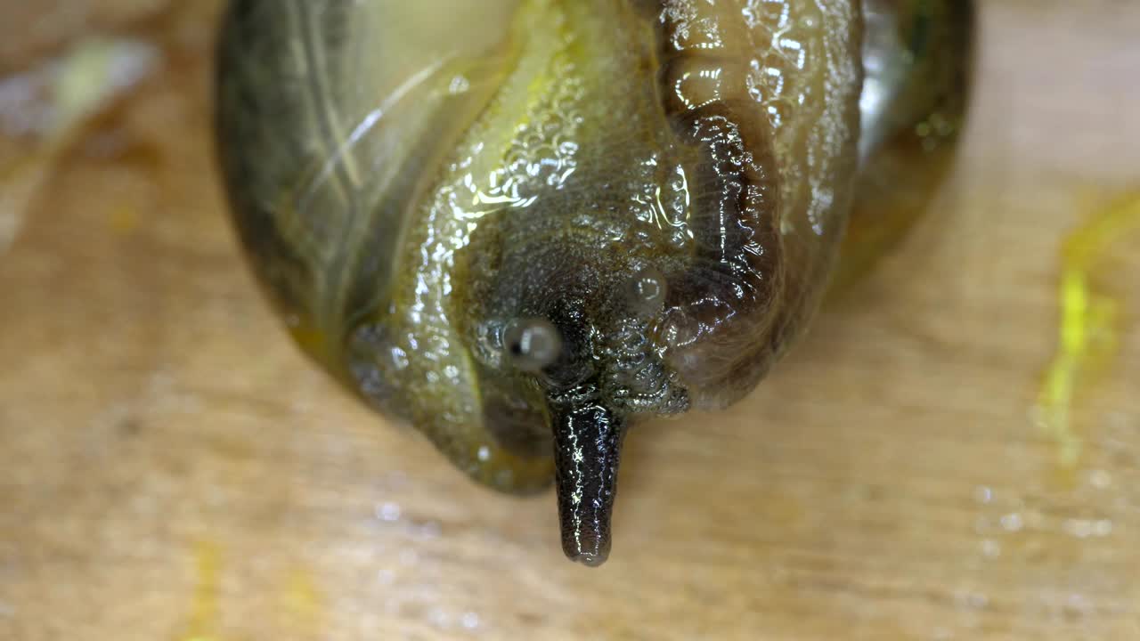 매크로 을 는 달이