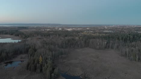 flying over a swampy area at dusk just outside of ottawa, ontario with a blue city skyline in the distance