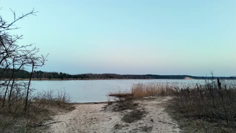 Ground-level-view-of-the-swamp-above-the-Lielupe-River-in-Varnukro