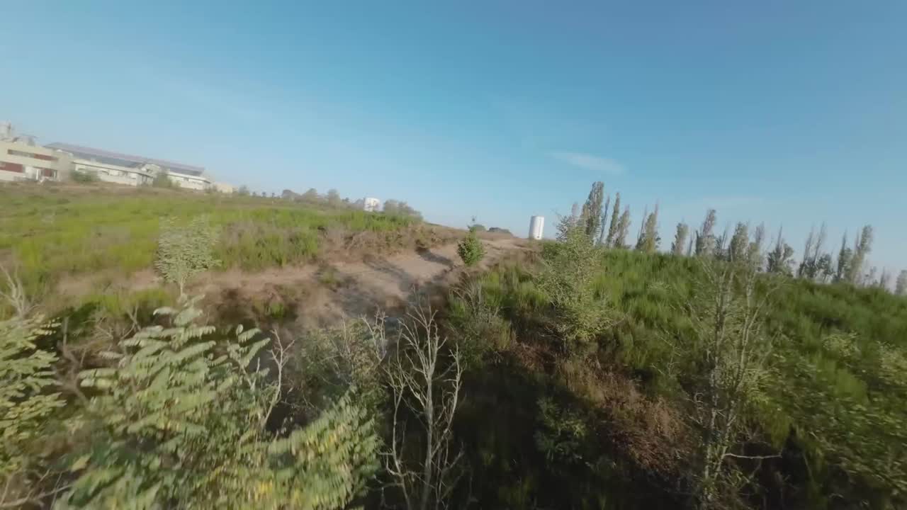 drone vuela sobre árboles y camino de tierra en steilacoom park en lakewood, washington, estados unidos