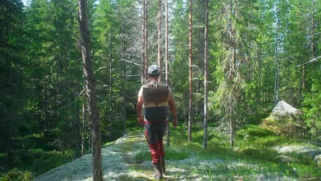 man hiking through the woods on a sunny day