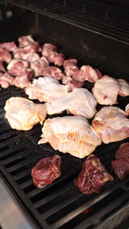 grilled meat and chicken