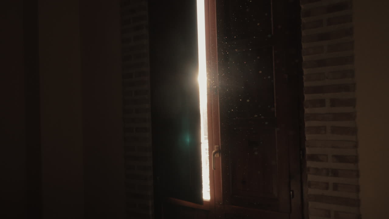 Dust particles in the sun light