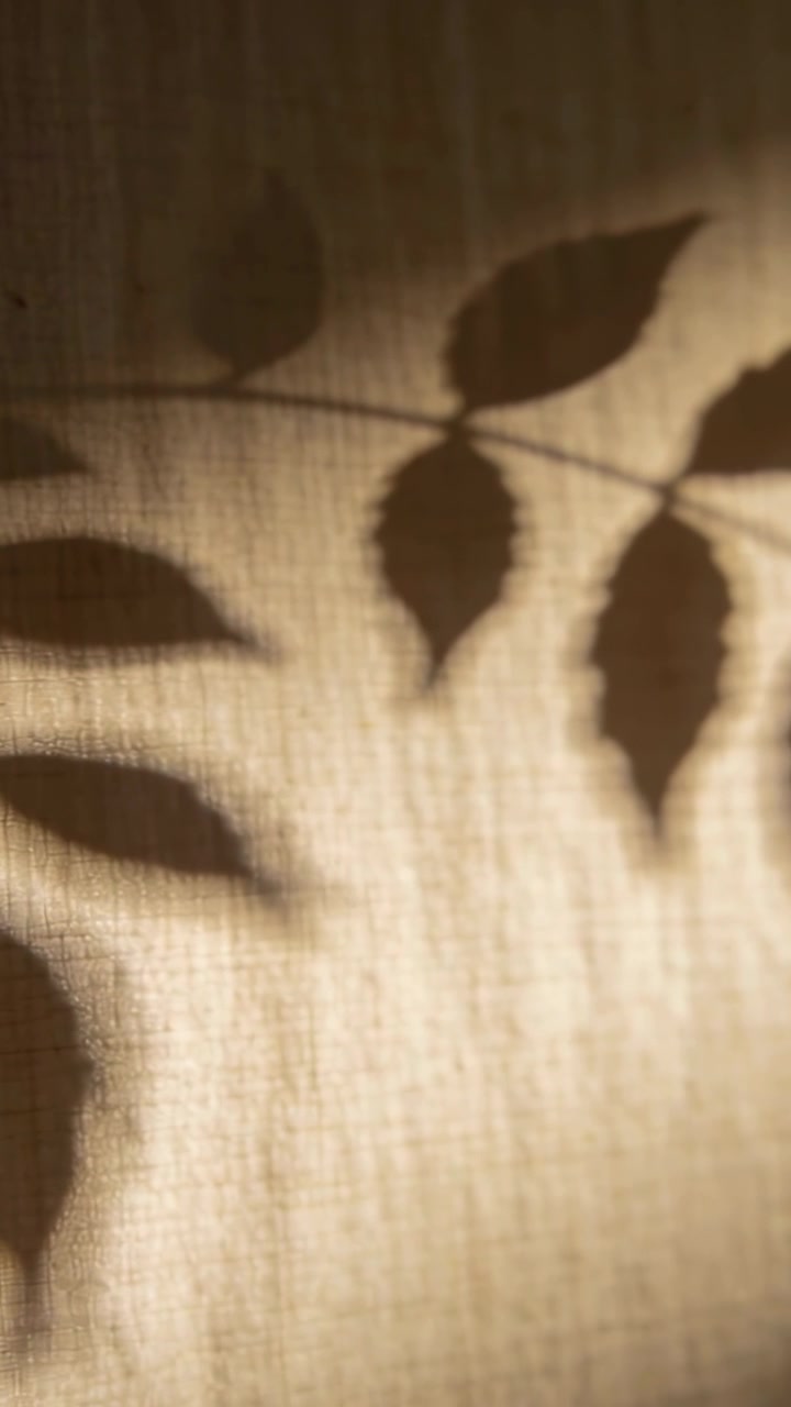 Vertical video: Swaying branch casting leaf shadows on woven curtain at window, warm backlight