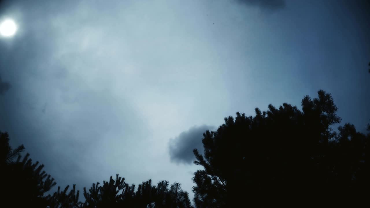 숲의 구형 파노라마, 어두운 흐르는 구름의 타임스, 루프 비디오 360도, 행성 360도, 타임 스, 공포 장면