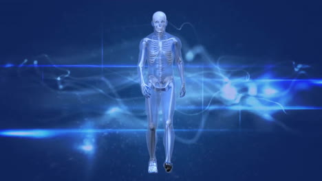 animation of scientific data processing over human body