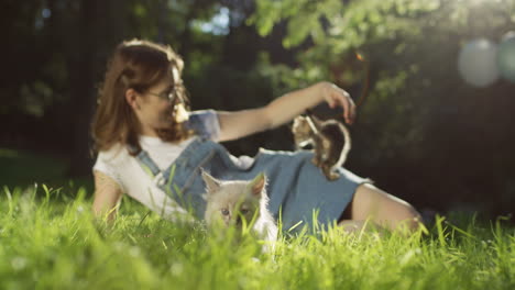 young caucasian woman in glasses lying on the grass and petting kitty cat in the park