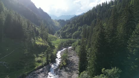 great nature filled with plenty trees showing dried up river flowing with tiny stream broken pieces of wood lying around and stones very bright sunny scenery great mountains in the background horizon