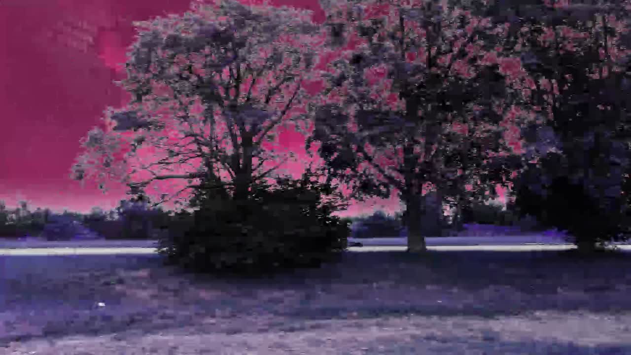 Alieni che guidano su un pianeta rosa in una decappottabile su un pianeta virtuale