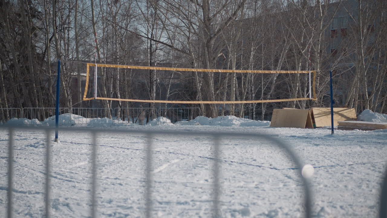 winter tennis court covered in snow, net suspended between metal posts, fencing visible against backdrop of leafless birch trees and icy ground, soft daylight illuminating frosty court environment