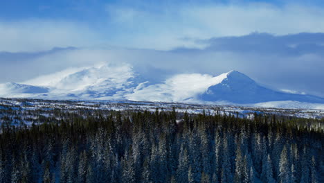 snow covered mountains and forest in winter