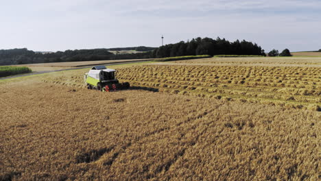 Harvester-on-ripe-barley-field,-drone-circles-around-the-Traktor