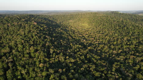 Aerial-View-Of-Hilly-Tropical-Rainforest,-Lush-Jungle-in-Argentina