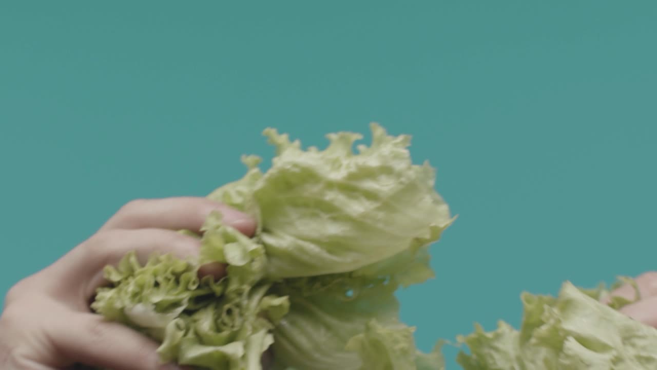 Hands Holding Lettuce
