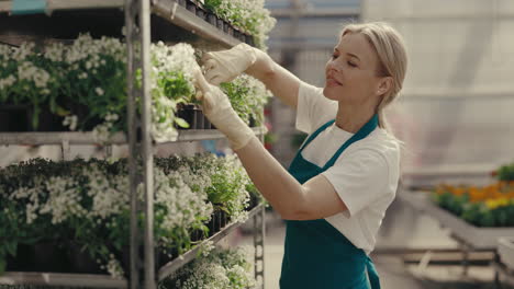 mujer cuidando plantas en un invernadero