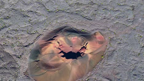 vista de avión no tripulado, volando sobre el cráter formica leo en la caldera con un movimiento revelador deslizante, isla de reunión