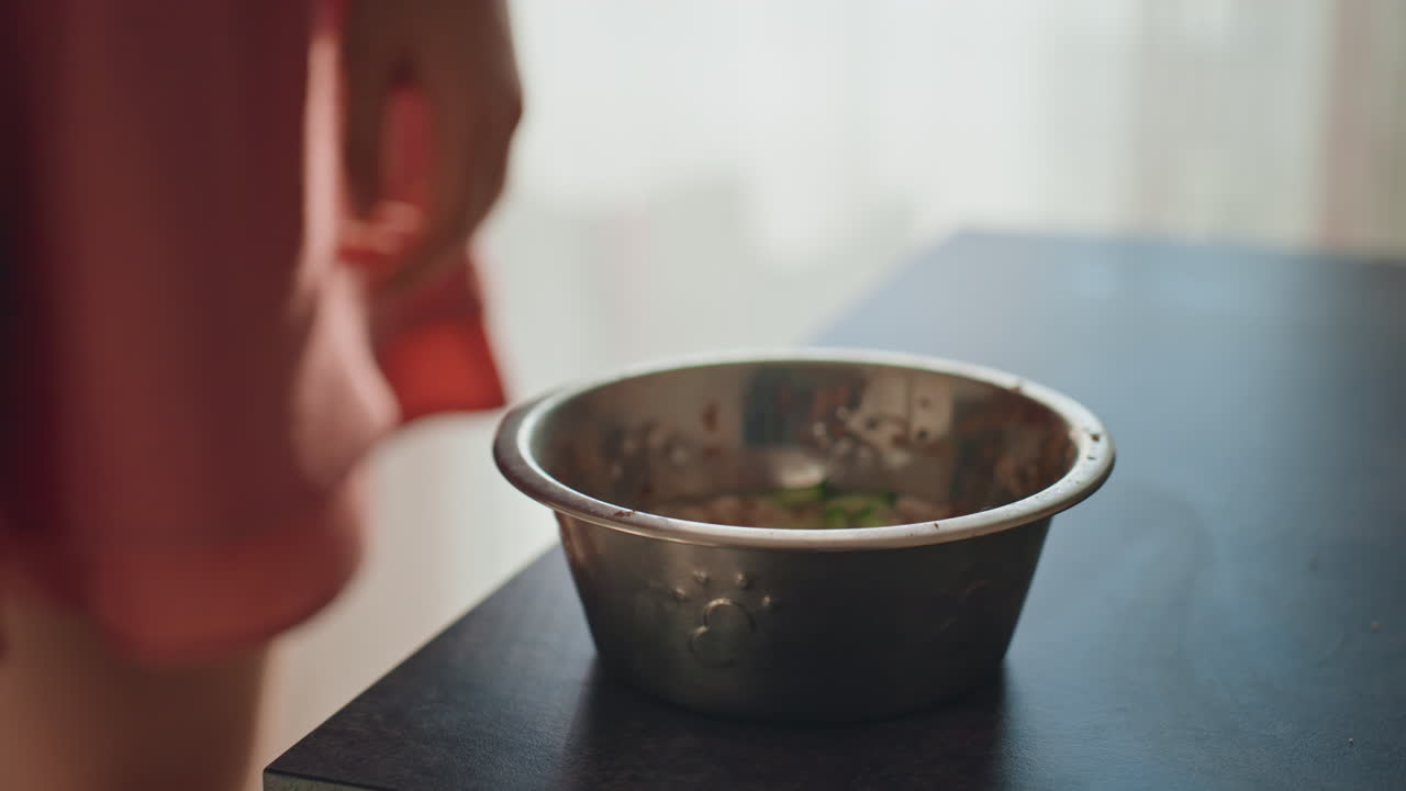 Pet Offers Bowl As Sunshine Warms Morning Scene, Hand Offers Food As Dog Approaches In Morning Light, Closeup Of Human Hand Placing Food Bowl On Floor For Eager Dog In Morning Sunlight