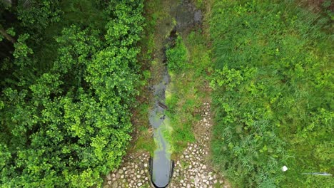 brook-stone-tree-leaf-aerial-boom-above-high-angle