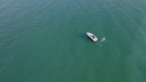 turistas nadando en el mar azul con yates de lujo