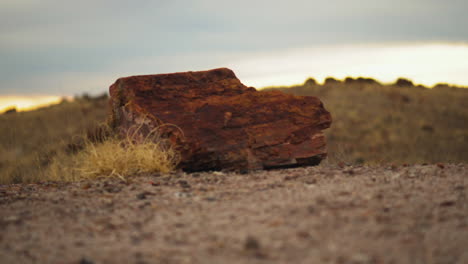 Giant-wood-log-at-Petrified-Forest-National-Park-in-Arizona,-rack-focus