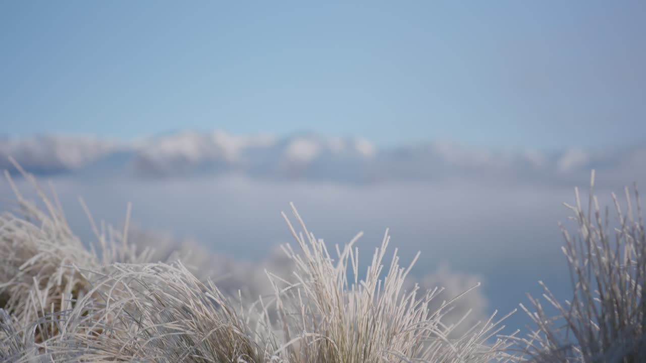 숲과 산악 지형을  ⁇ 고 있는 얼음이