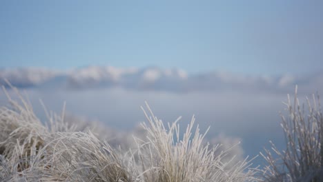 Eisiger-Frost-Bedeckt-Büsche-Und-Bergige-Landschaft