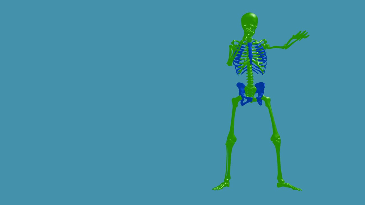 골격 노래 - 순간