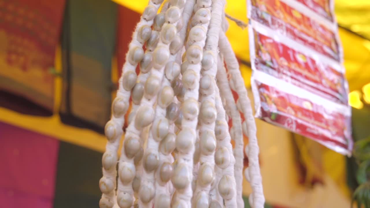 naturalne naszyjniki cowrie zbliżenie widok