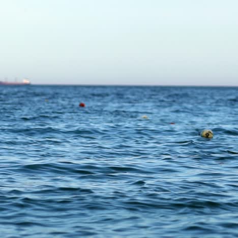 floating buoys on water surface. beautiful sea background. breathtaking view of blue water under clear sky.