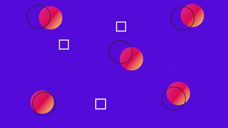 colors lines and geometric figures in purple background animation