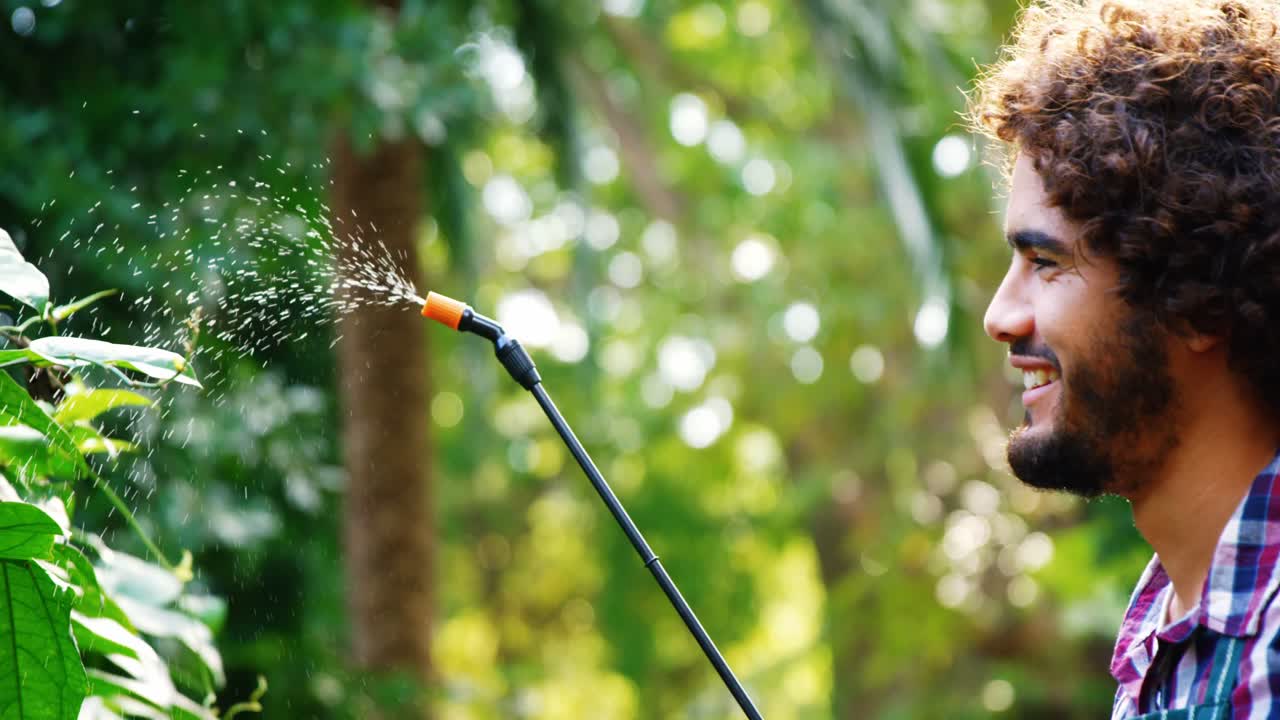 Man watering plant with garden sprayer
