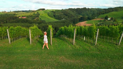 Stunning-drone-footage-of-a-white-Caucasian-woman-with-a-knitted-hat-in-a-dress-walking-through-vineyards-of-Jeruzalem-and-admiring-the-surroundings