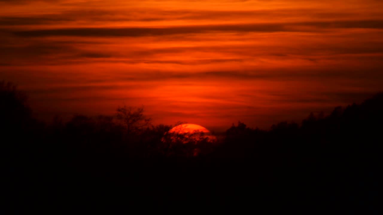 Wunderschöner Sonnenuntergang mit untergehender Sonne hinter Bäumen auf einem Hügel
