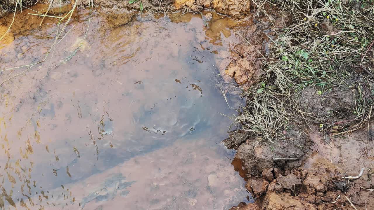 Close-up of natural water seeping from beneath the soil surface, forming a small muddy pool with gentle ripples, showing groundwater emergence in a rural environment