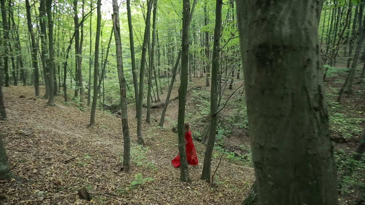 Young Woman Walks In Forest. Young woman in long red dress walks in forest