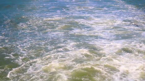 Barco-Navegando-En-El-Agua-Del-Océano-Haciendo-Espuma-Mientras-Las-Gaviotas-Siguen