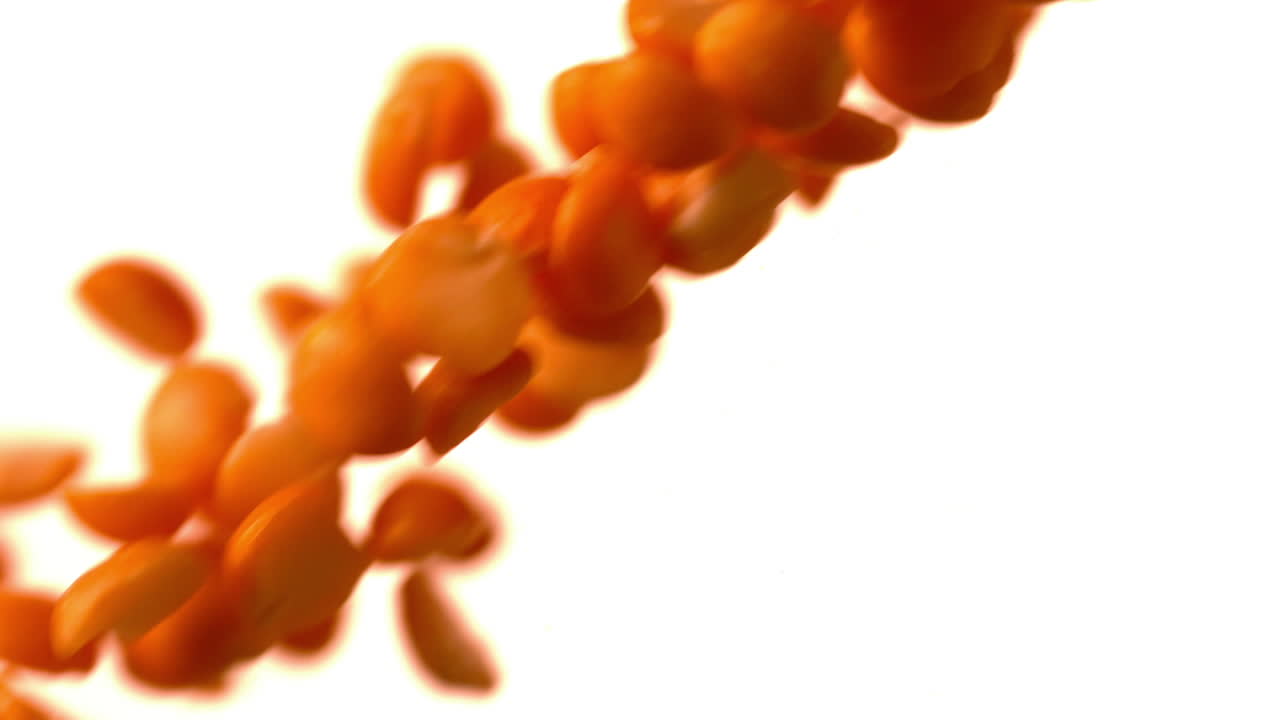 바탕 에 땅콩 이 아지고 있다