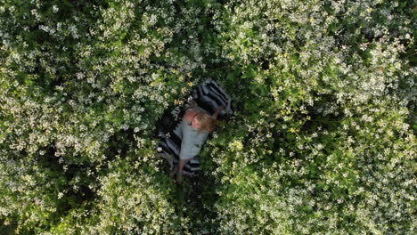 aerial spin of young woman lying in flowers