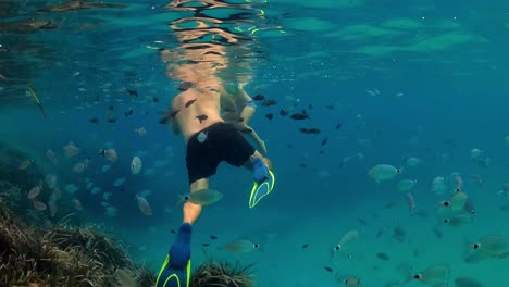 underwater slow-motion scene of father and little son swimming in blue tropical sea water surrounded by school of fish